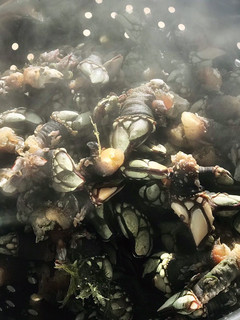 Una foto de Percebes