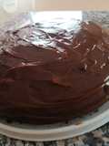 Pastel de Chocolate con Dulce de leche