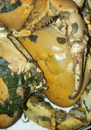A picture of Cooked crab.