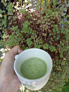 Foto resep Jus Sawi Nanas Apel