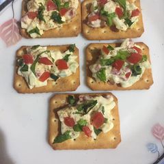 A picture of Tuc open sandwich.
