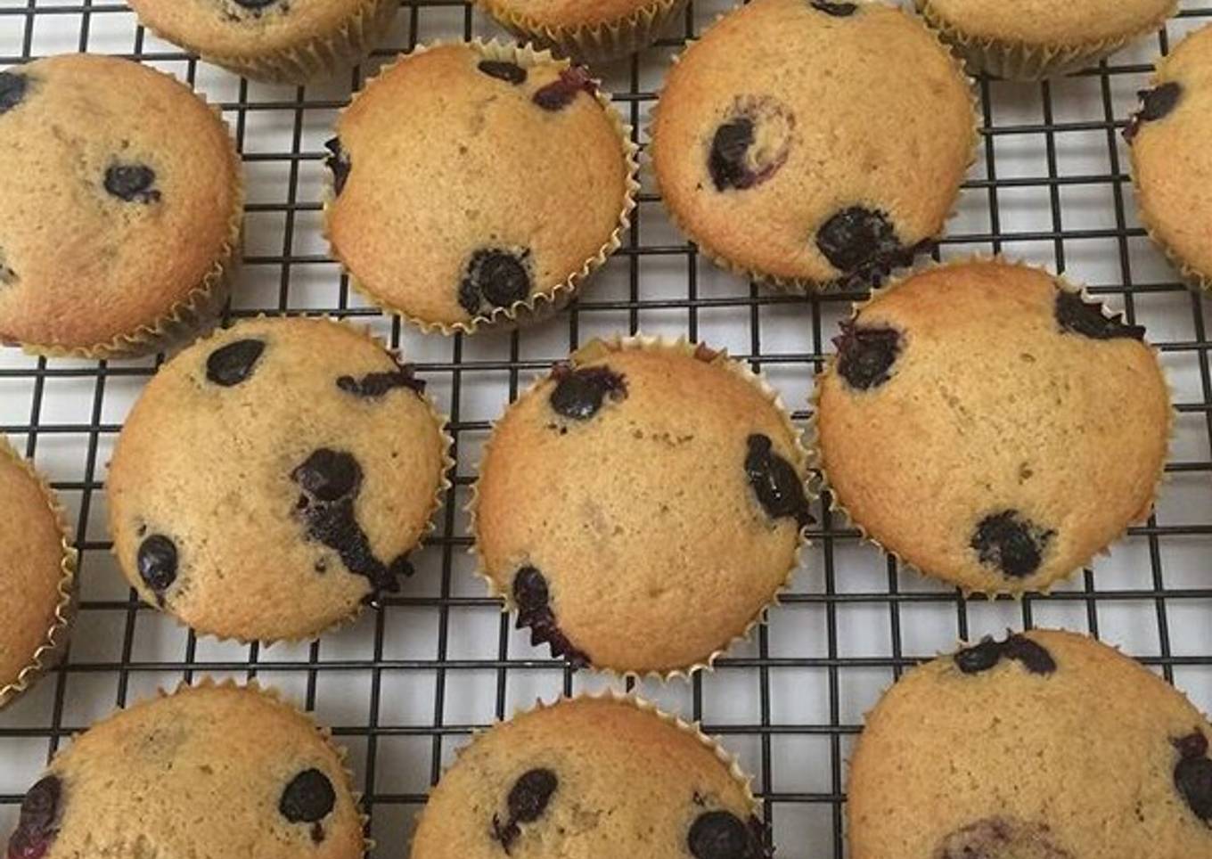 Blueberry Muffins