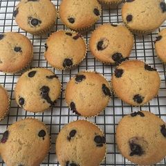 A picture of Blueberry Muffins.