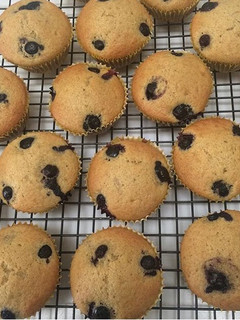 A picture of Blueberry Muffins.