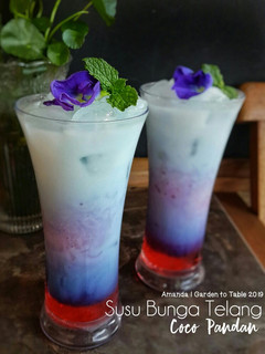 Foto resep Susu Bunga telang Coco pandan