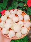 Kem nho nguyên quả