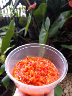 Foto resep Sambal Ayam Pop