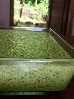 Foto resep Pudding Tape Ketan Hijau