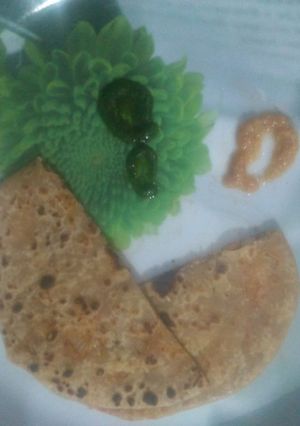 A picture of Sattu paratha.