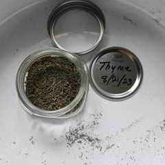 A picture of THYME is hard to do, lol.