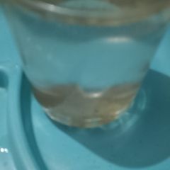 A picture of Lemonade.