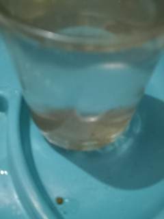 A picture of Lemonade.