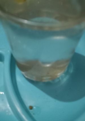 A picture of Lemonade.