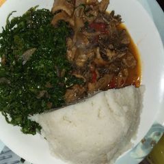 A picture of Matumbo.