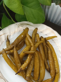 عکسی از دستور ترشی فلفل