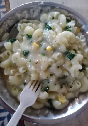 व्हाइट सॉस पास्ता (white sauce pasta recipe in Hindi) रेसिपी मुख्य फोटो