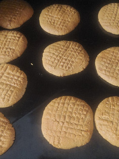 A picture of Peanut butter coconut cookies.