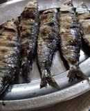 Sardinhas assadas
