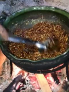 Una foto de Chapulines