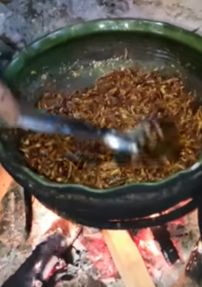 Una foto de Chapulines
