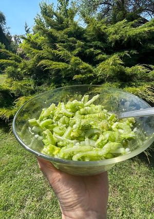 A picture of Celery with Avocado and Green Onion.
