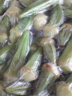 عکسی از دستور نگهداری صحیح بامیه
