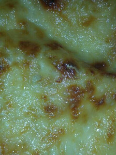 Una foto de Coliflor con bechamel