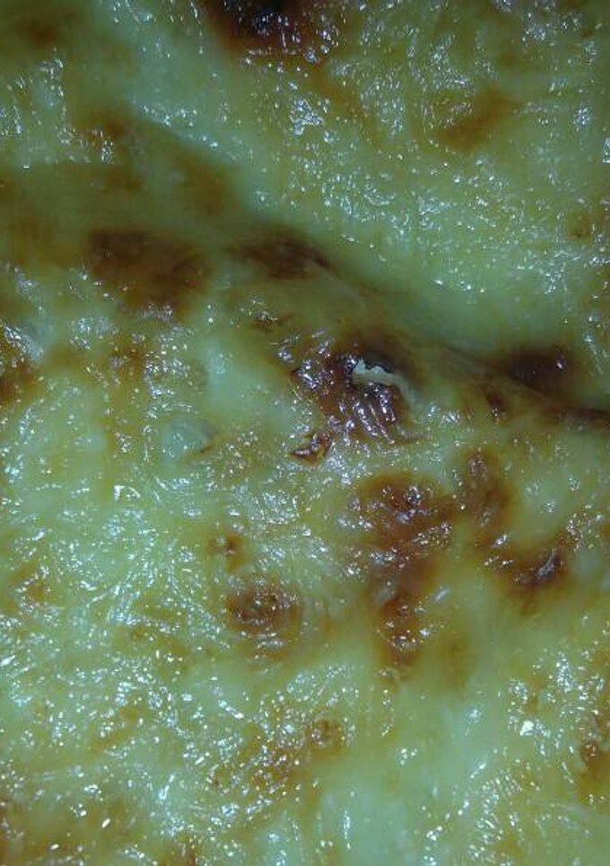 Una foto de Coliflor con bechamel