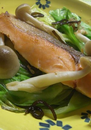 A picture of Pn-Fried and Steamed Salmon and Cabbage.