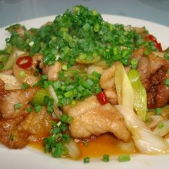 A picture of Pork Roast and Green Onion Sweet and Spicy Stir-Fry! Great with Beer.