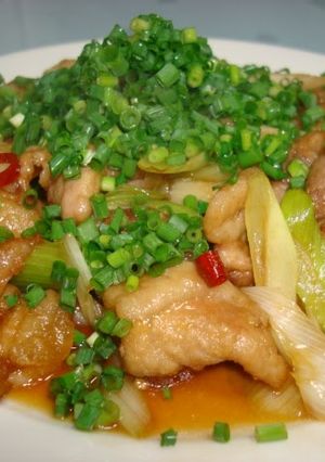 A picture of Pork Roast and Green Onion Sweet and Spicy Stir-Fry! Great with Beer.