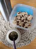 Galles 3 ingredientes
