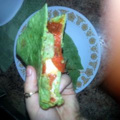 A picture of Pizzadilla.