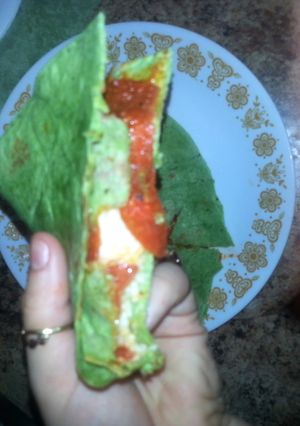 A picture of Pizzadilla.
