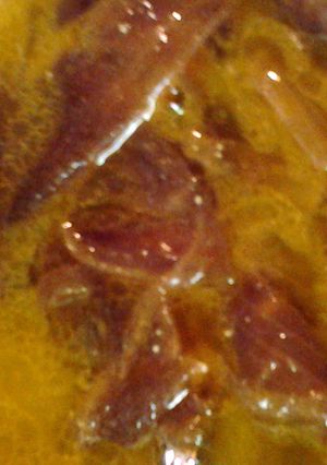 A picture of onion soup.