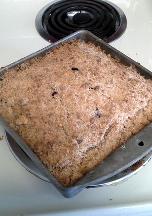 A picture of Blueberry Buckle.