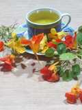 Té de capuchina
