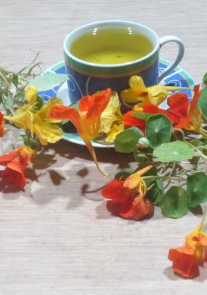 Una foto de Té de capuchina
