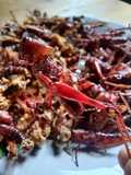 Belalang Goreng
