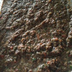 A picture of Podiny ki Chutney.