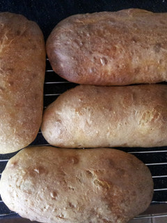 A picture of 50% Kamut Sourdough bread.