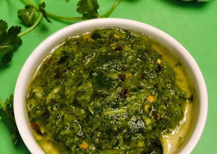 Homemade cilantro chimichurri sauce