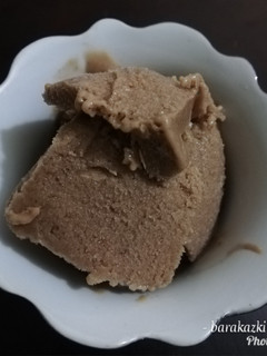 A picture of Peanut butter-chocolate banana sorbet.