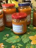 Sauces tomates au radis noir et gingembre