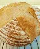 Rustic French Bread with Whole Wheat Flour