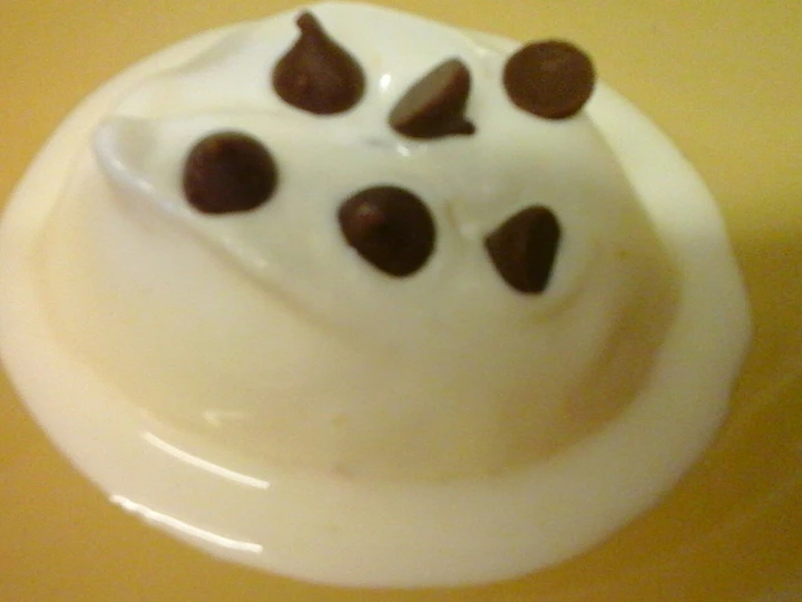 Recipe Irmgards Creamy Lemonade Chocolate Sorbet the Delicious Perfect