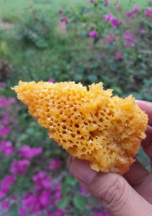 Foto resep Bika ambon takaran sendok (tanpa oven dan tanpa mixer)