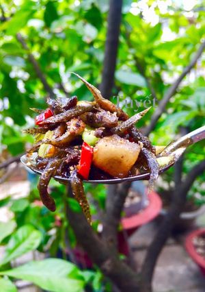 Hình của món Cá bống trứng kho tiêu.
