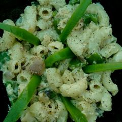 A picture of White Sauce Pasta.