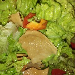 A picture of Fatoush salad.